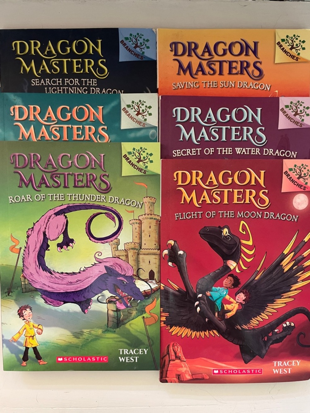 Dragon Masters Book Lot - Colorful Children's Fantasy Covers